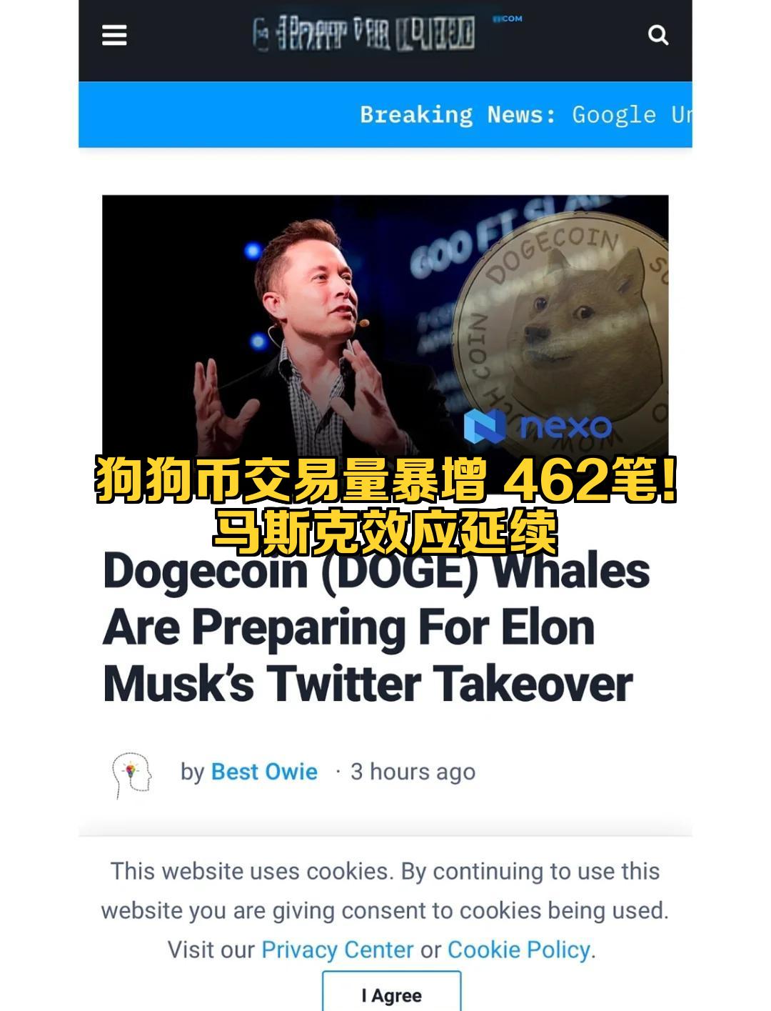 马斯克再次发推，狗狗币瞬间上上扬286%！